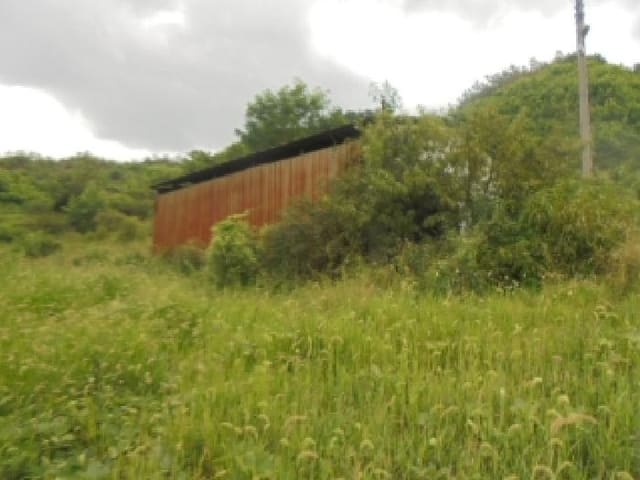 B000271202501300018214.jpg