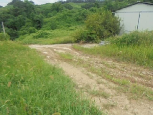 B000271202501300018212.jpg