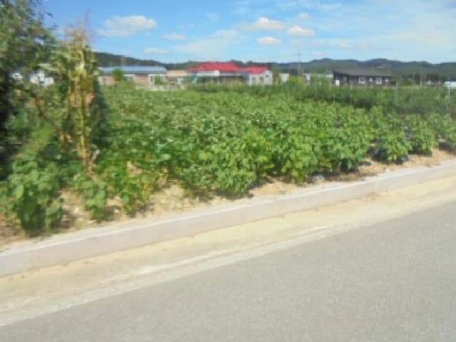 B000271202501300018384.jpg
