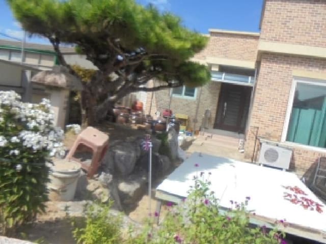 B000271202501300018381.jpg