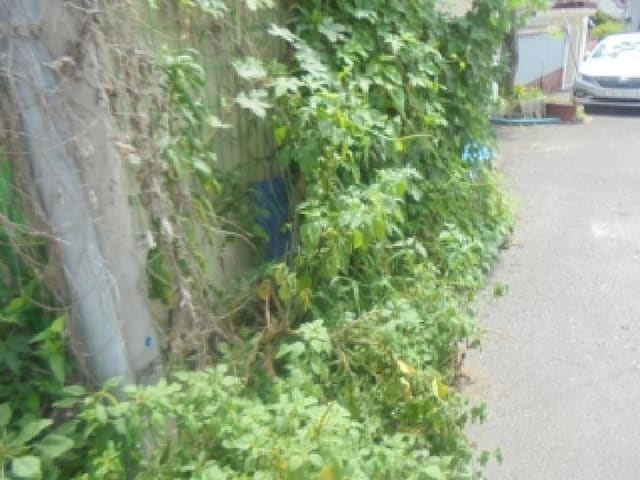 B000271202501300018902.jpg