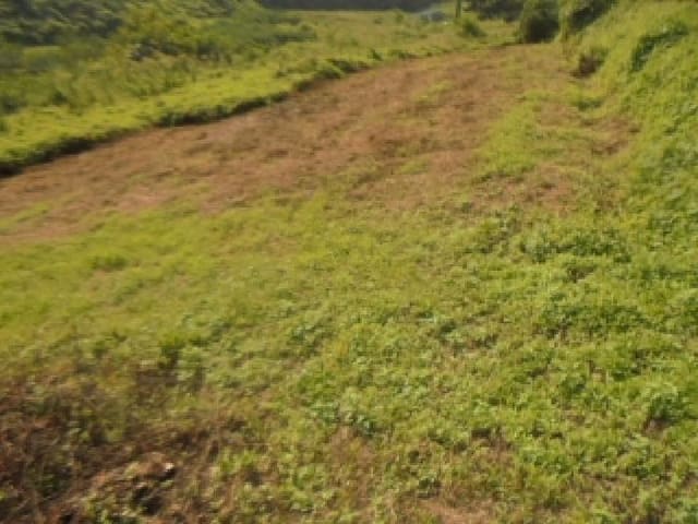 B000271202501300019681.jpg