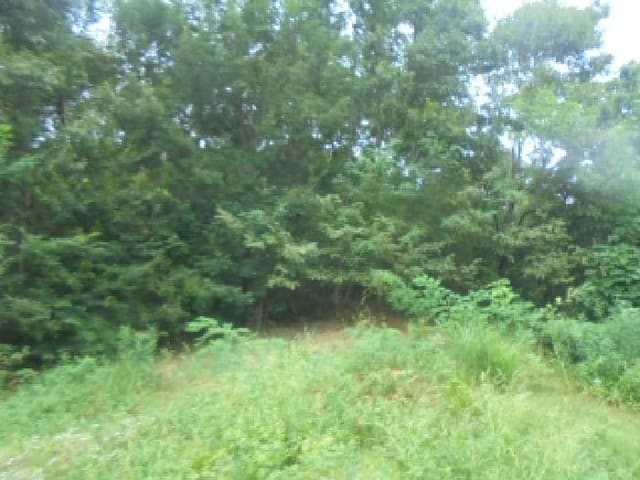 B000271202501300019997.jpg
