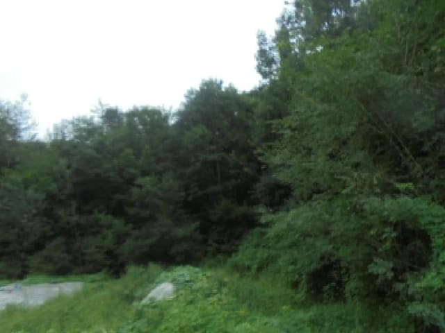 B000271202501300019996.jpg