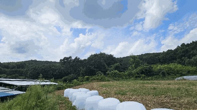 B000271202501300019999.jpg