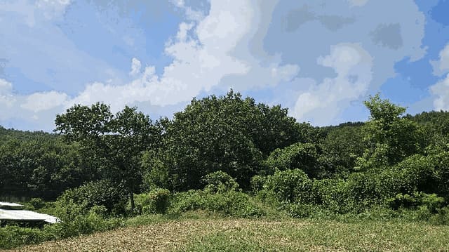 B000271202501300019998.jpg