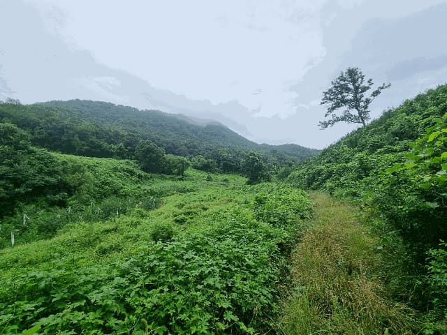 B000271202501300020464.jpg