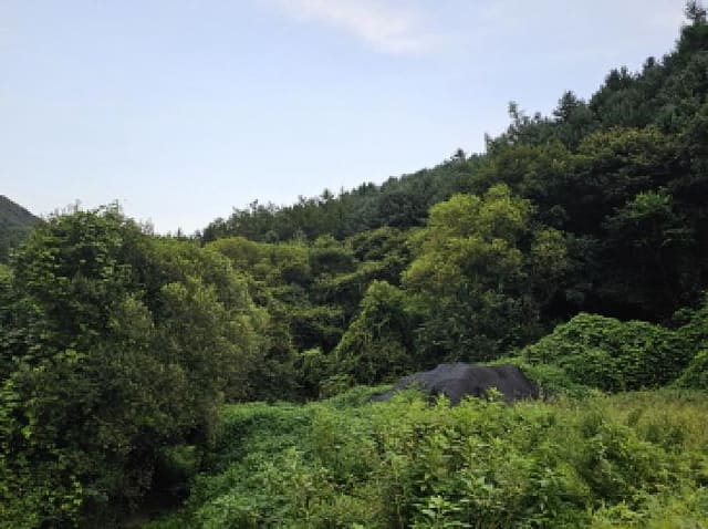 B000271202501300020461.jpg