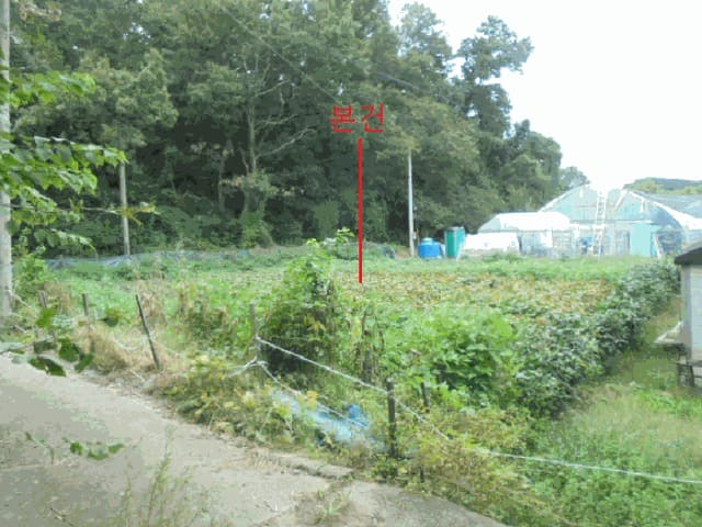B000271202501300021761.jpg