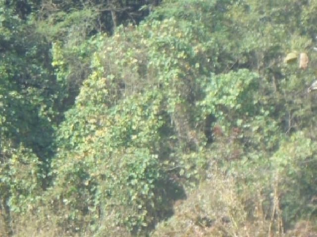 B000271202501300023364.jpg