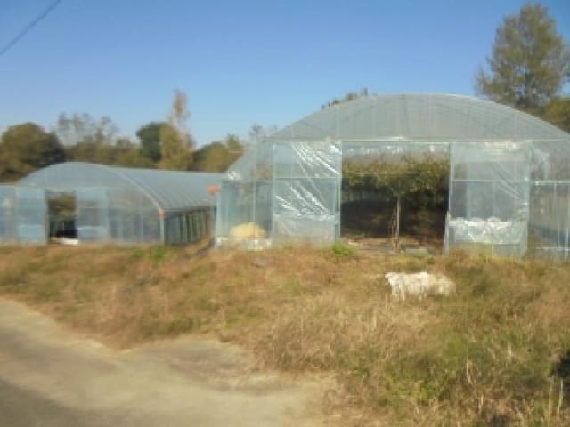 B000271202501300023361.jpg