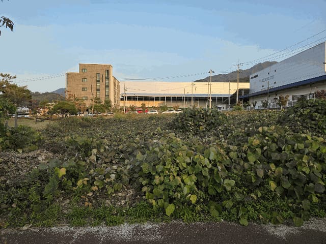 B000271202501300023743.jpg