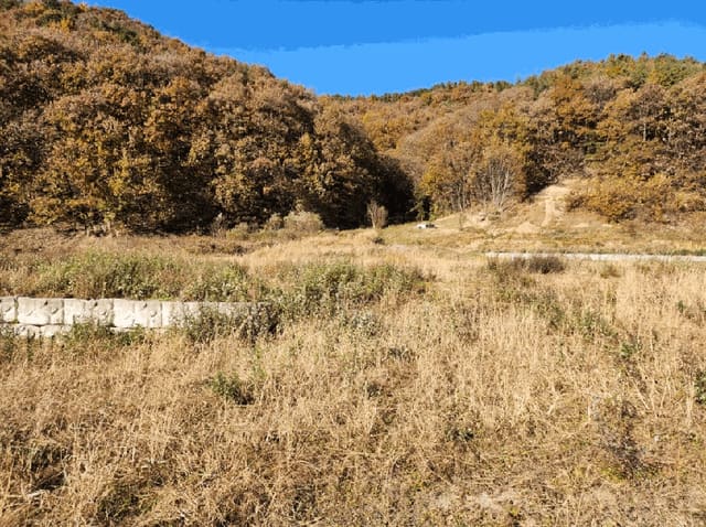 B000271202501300024114.jpg