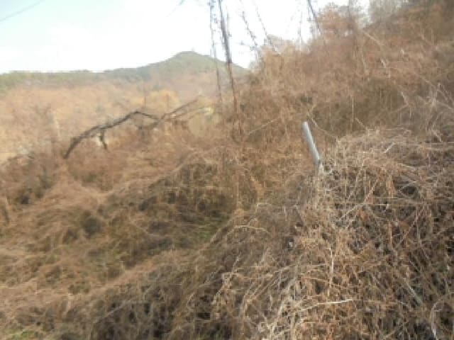 B000271202501300026021.jpg