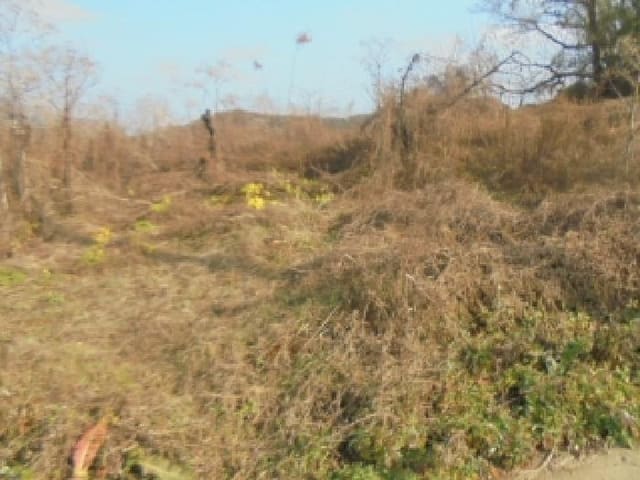 B000271202501300026023.jpg