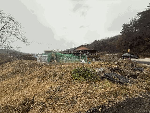 B000271202501300026644.jpg