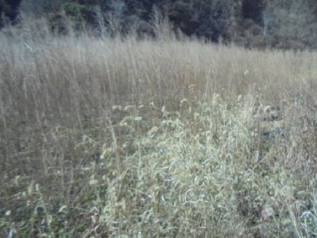 B000271202501300027181.jpg
