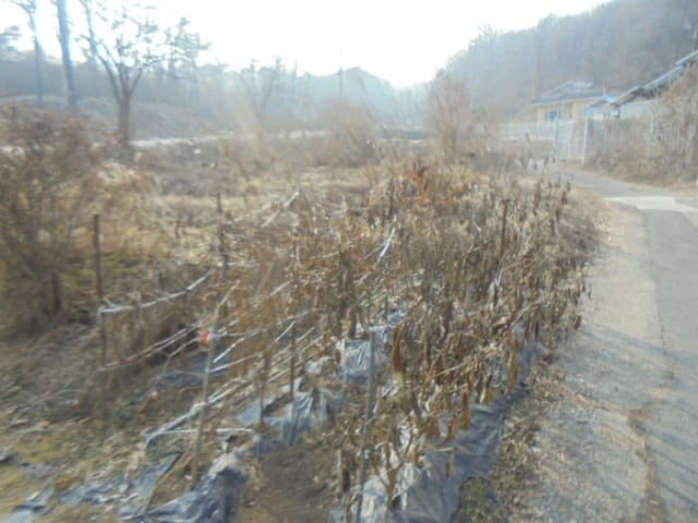 B000271202501300301711.jpg