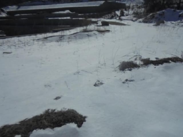 B000271202501300302632.jpg