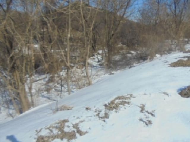 B000271202501300302631.jpg