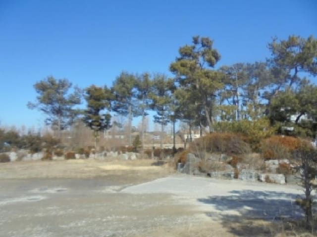 B000271202501300303622.jpg
