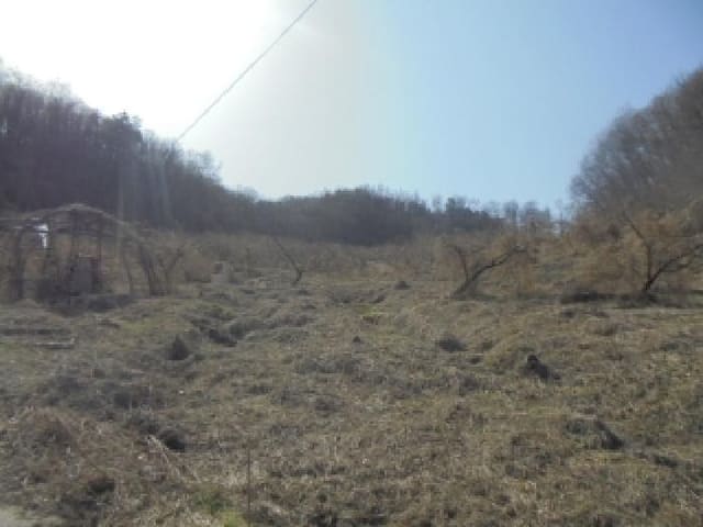 B000271202501300303794.jpg