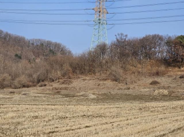 B000271202501300303991.jpg