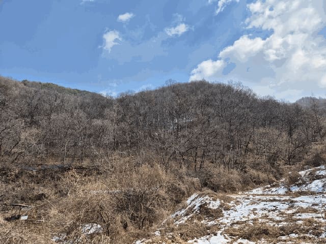 B000271202501300304064.jpg