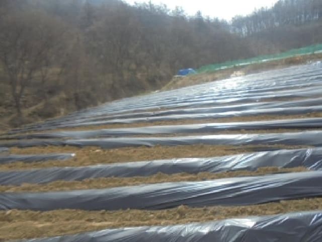 B000271202501300304163.jpg