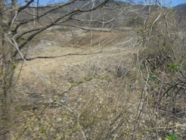 B000271202501300304432.jpg