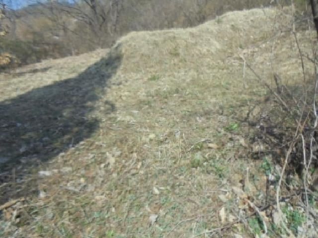 B000271202501300304431.jpg