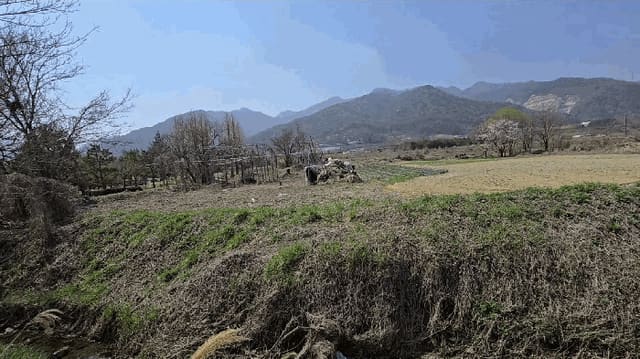 B000271202501300304644.jpg