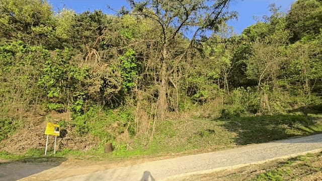 B000271202501300304654.jpg