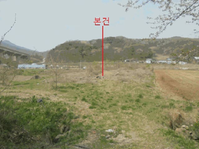 B000271202501300304801.jpg