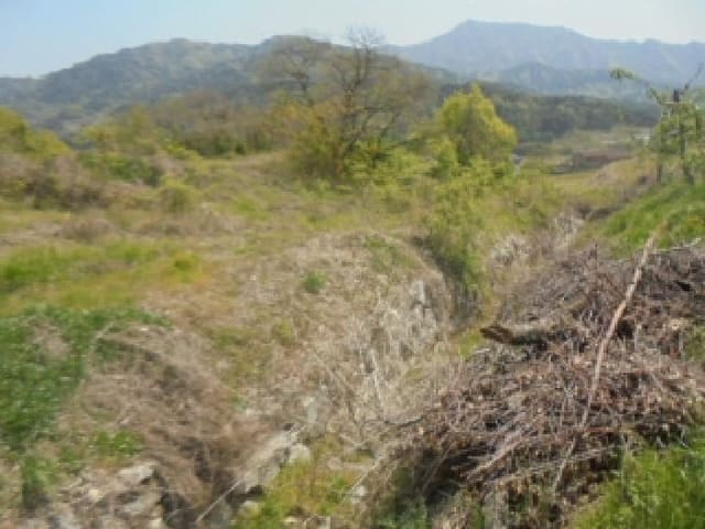 B000271202501300305064.jpg