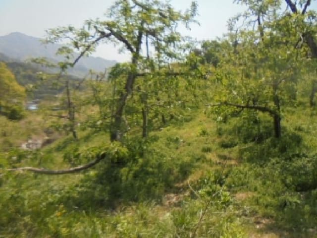B000271202501300305061.jpg