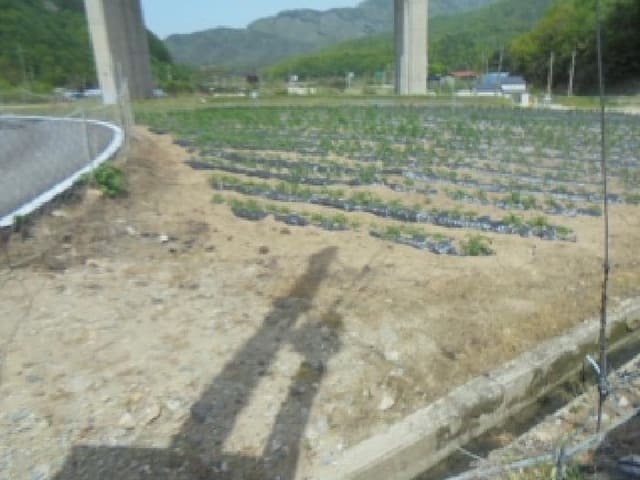 B000271202501300305151.jpg