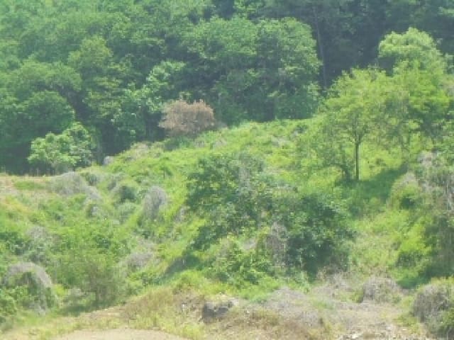 B000271202501300305501.jpg