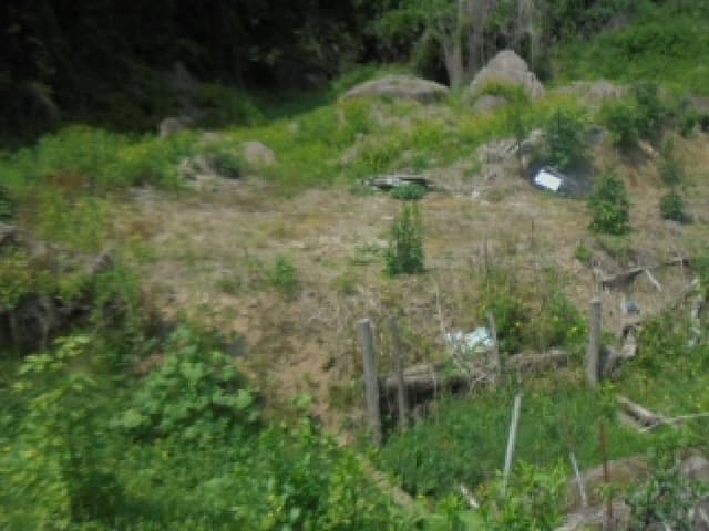 B000271202501300305504.jpg