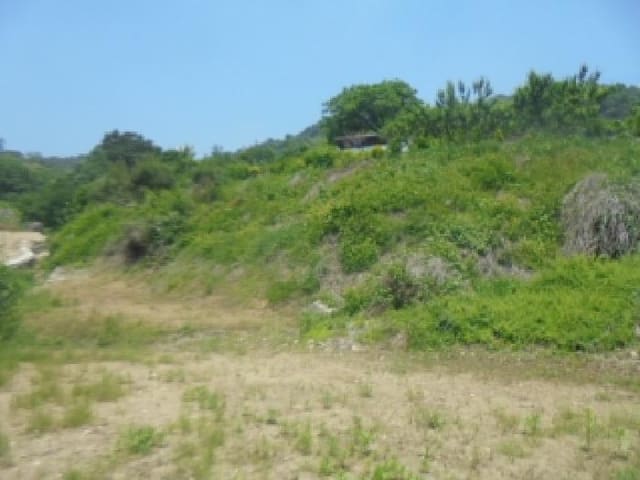 B000271202501300305503.jpg