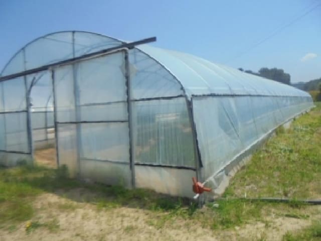B000271202501300305552.jpg