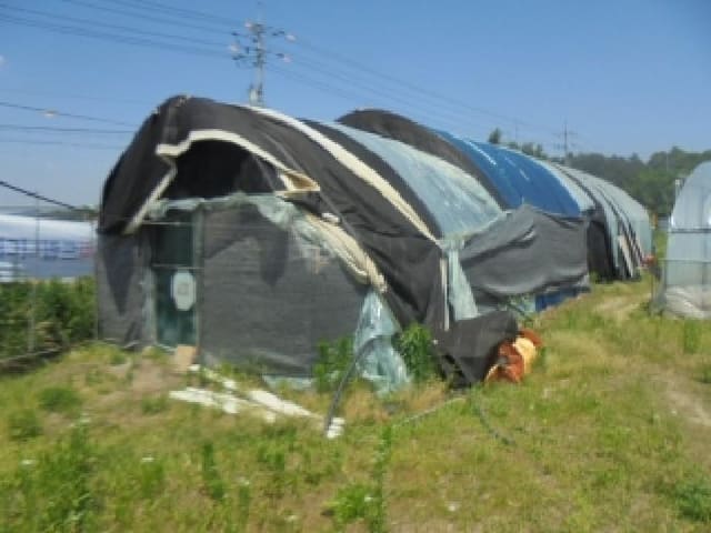 B000271202501300305551.jpg