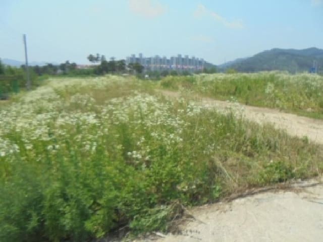 B000271202501300305741.jpg