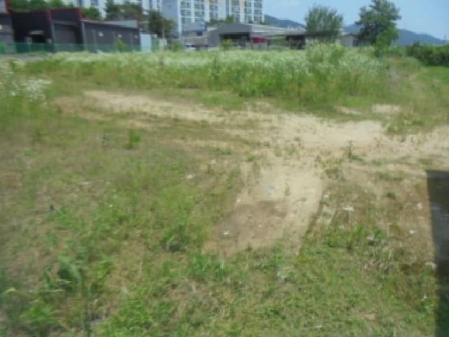 B000271202501300305742.jpg