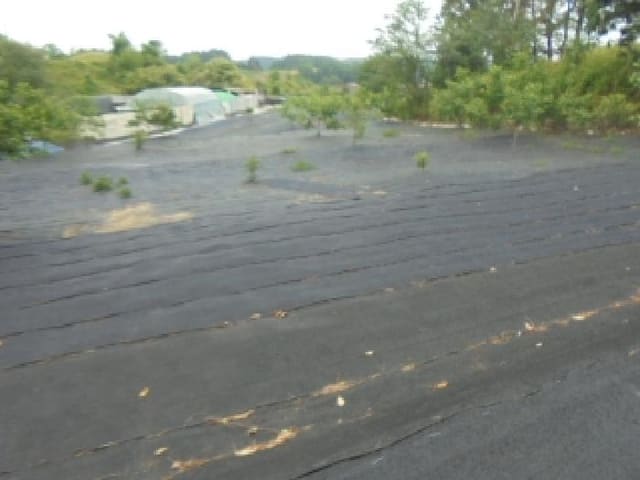 B000271202501300305793.jpg