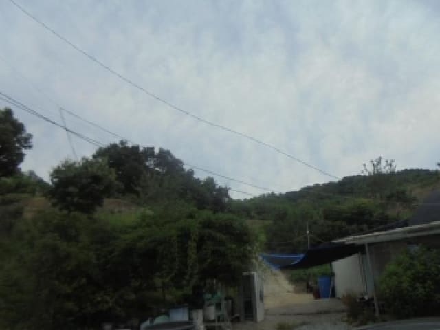 B000271202501300305922.jpg