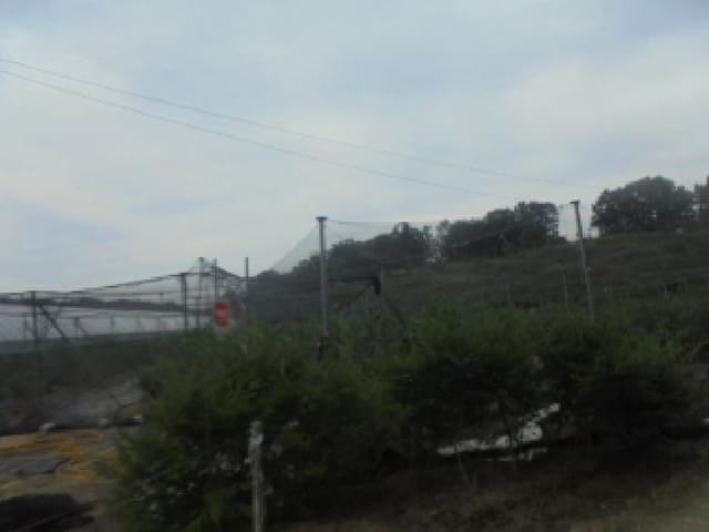 B000271202501300305921.jpg