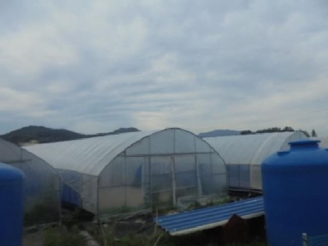 B000271202501300305924.jpg