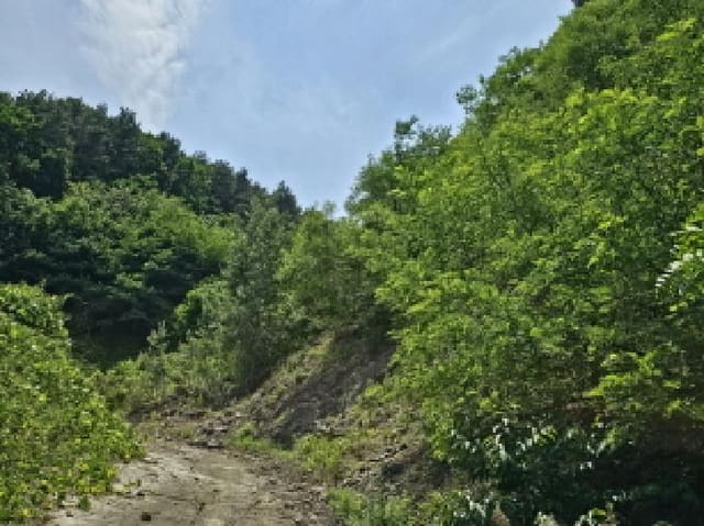 B000271202501300306064.jpg