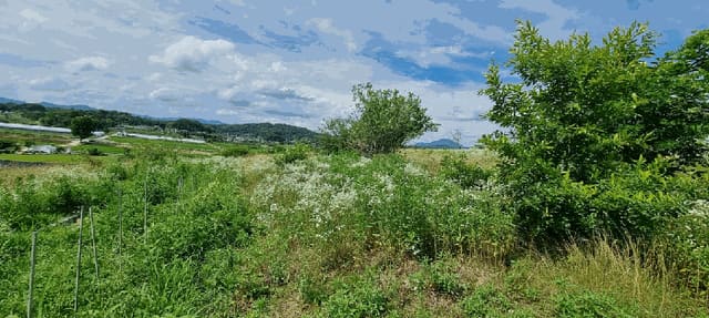 B000271202501300306092.jpg